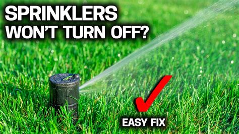 why does my sprinkler head leak|Can A Sprinkler System Leak When Off: Causes